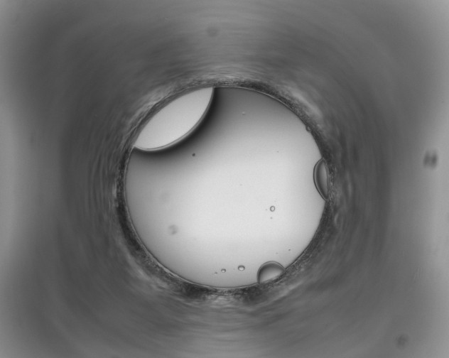 X0000097900115200803141015