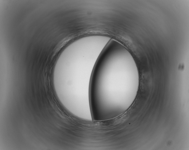 X0000097900116200803141015