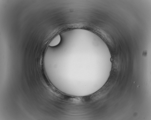 X0000097900118200803141015