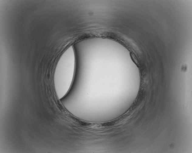 X0000097900121200803141015
