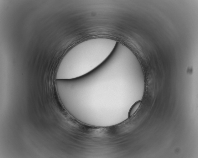 X0000097900122200803141015