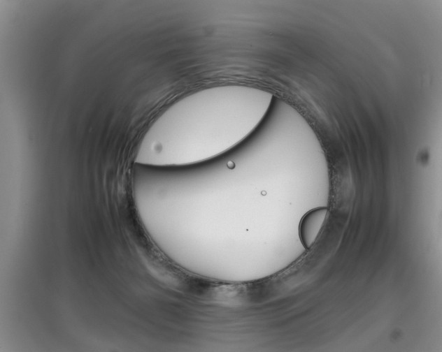 X0000097900126200803141015