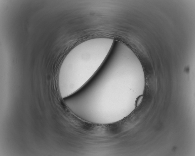 X0000097900127200803141015