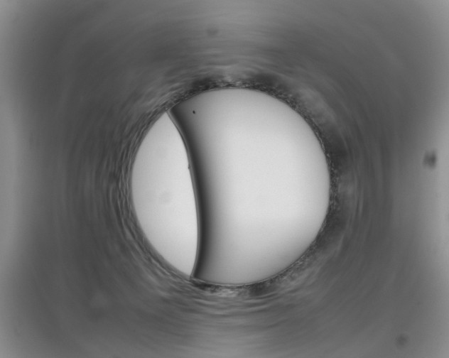 X0000097900129200803141015