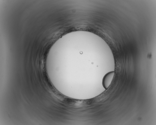 X0000097900130200803141015
