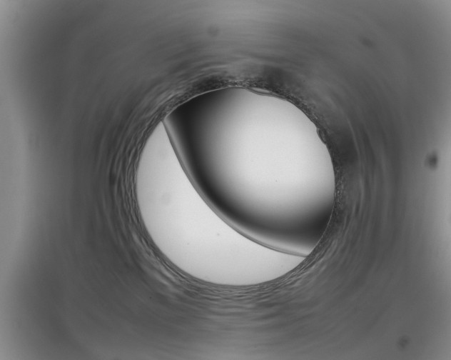 X0000097900137200803141015