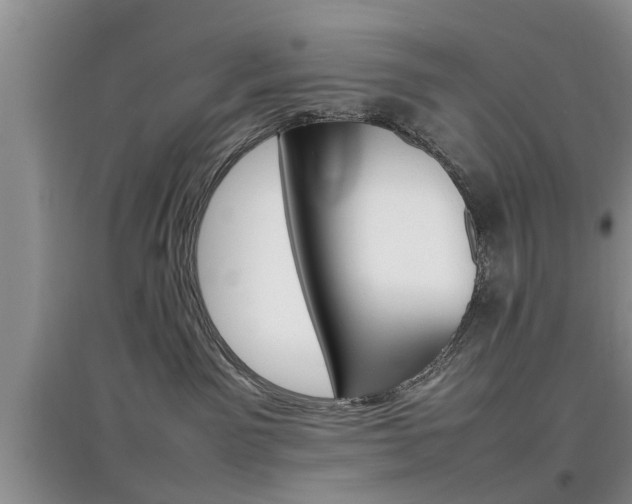 X0000097900141200803141015