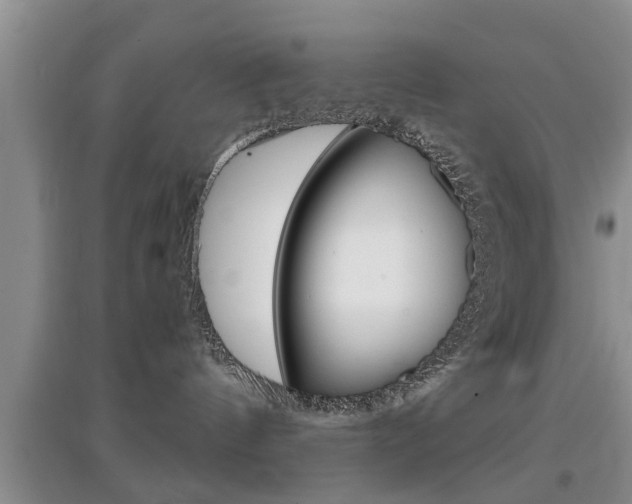 X0000097900144200803141015
