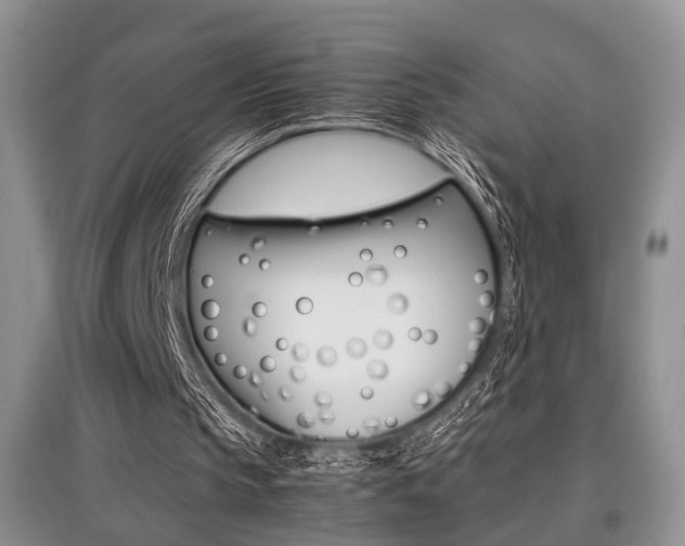 X0000097900145200803141014