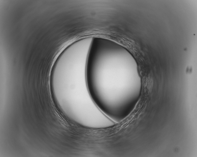 X0000097900148200803141014