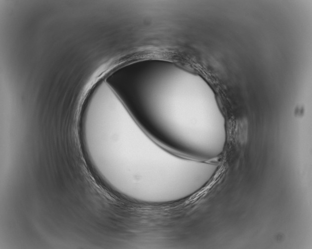X0000097900150200803141014