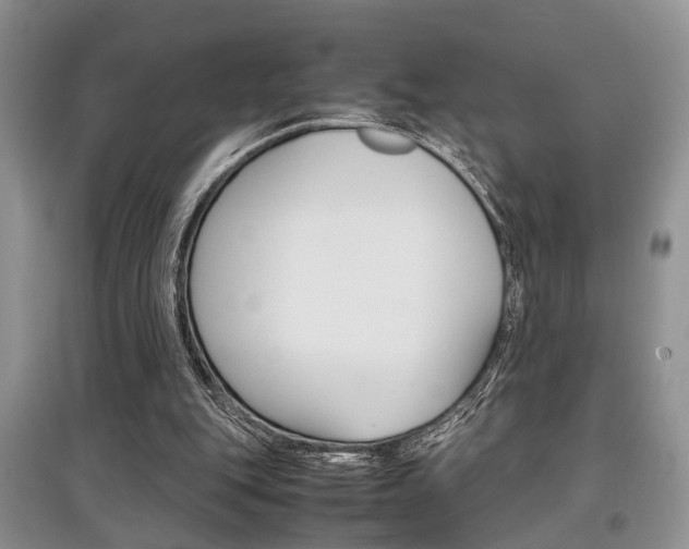 X0000097900151200803141014