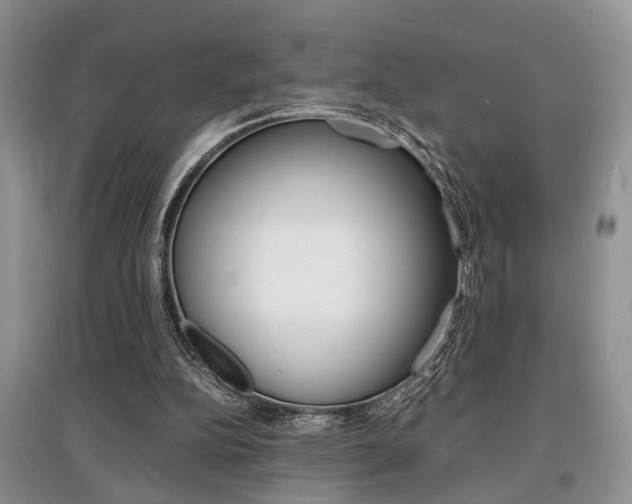 X0000097900152200803141014