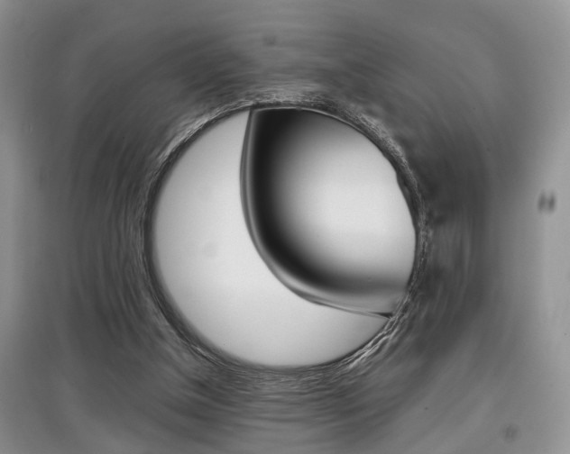 X0000097900154200803141014