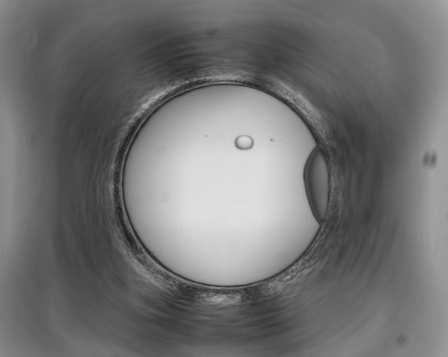X0000097900155200803141014