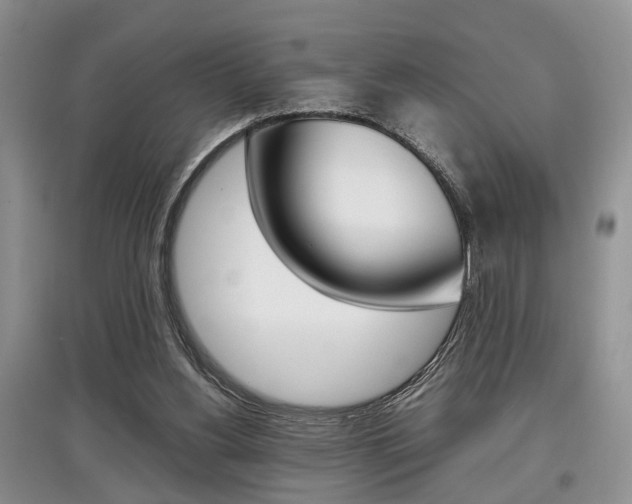 X0000097900156200803141014