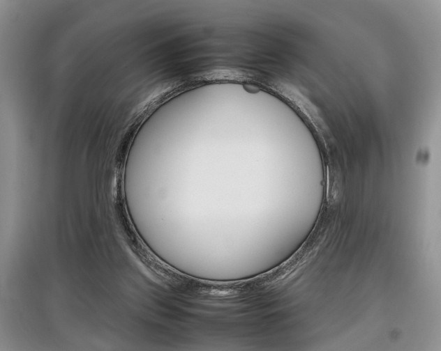 X0000097900157200803141014