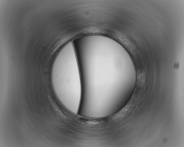 X0000097900158200803141014