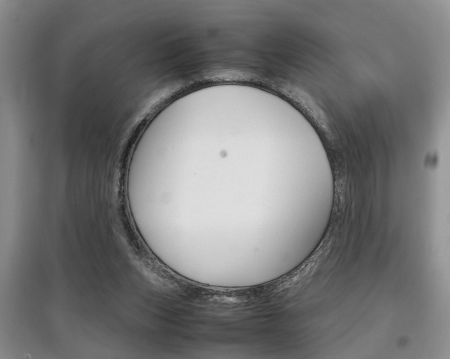 X0000097900159200803141014
