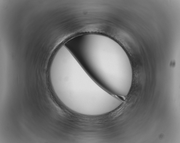 X0000097900160200803141014