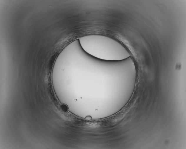 X0000097900161200803141014
