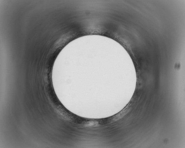 X0000097900162200803141014