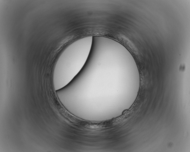 X0000097900163200803141014