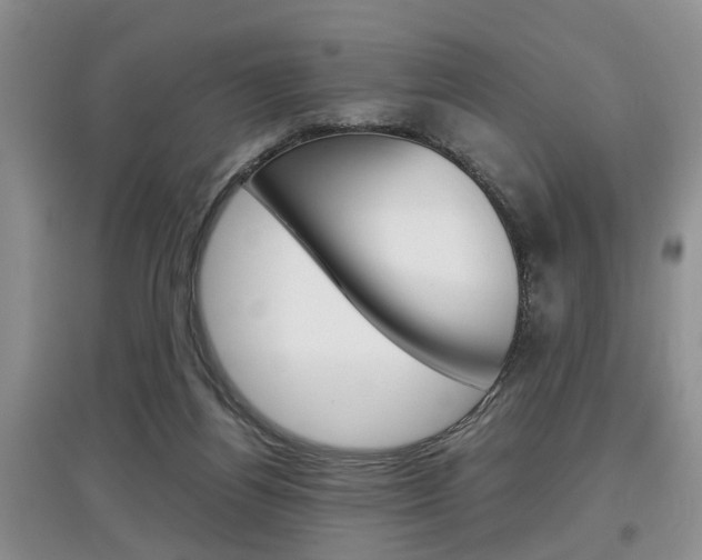X0000097900164200803141014