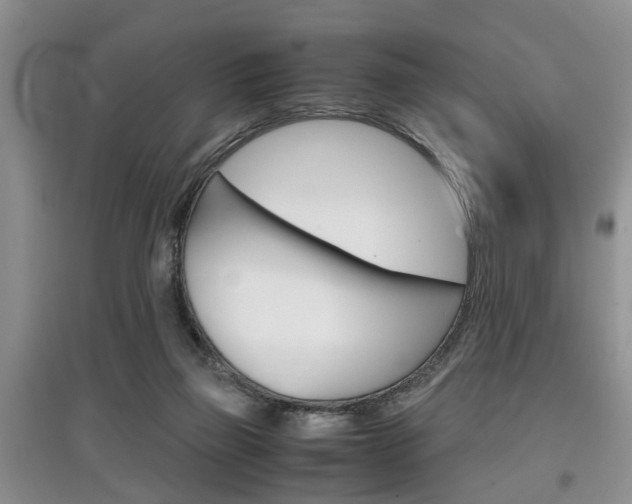 X0000097900165200803141014