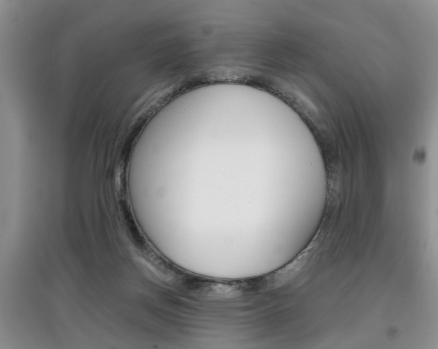 X0000097900166200803141014