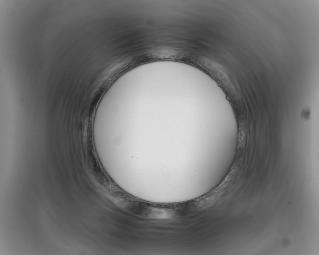X0000097900167200803141014