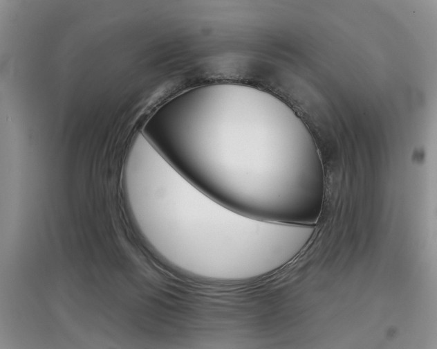 X0000097900168200803141014