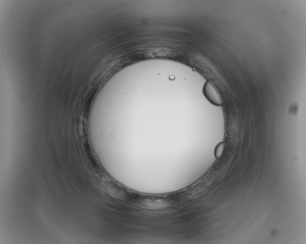 X0000097900169200803141014