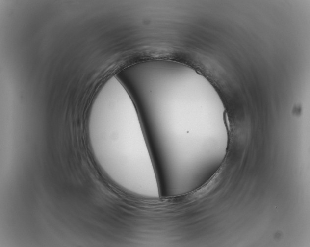 X0000097900170200803141014