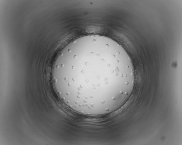 X0000097900171200803141014