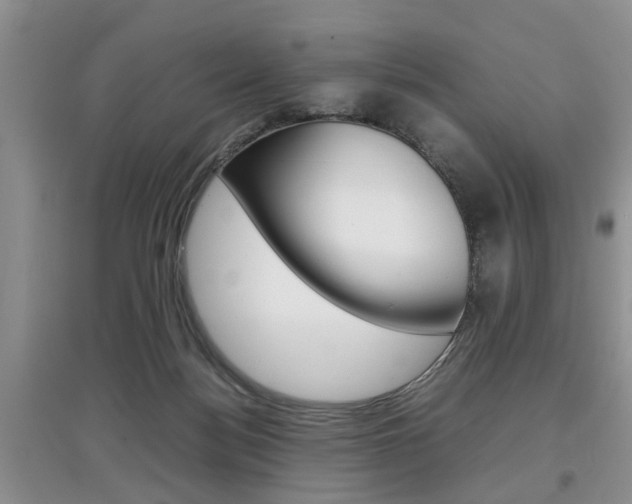 X0000097900172200803141014