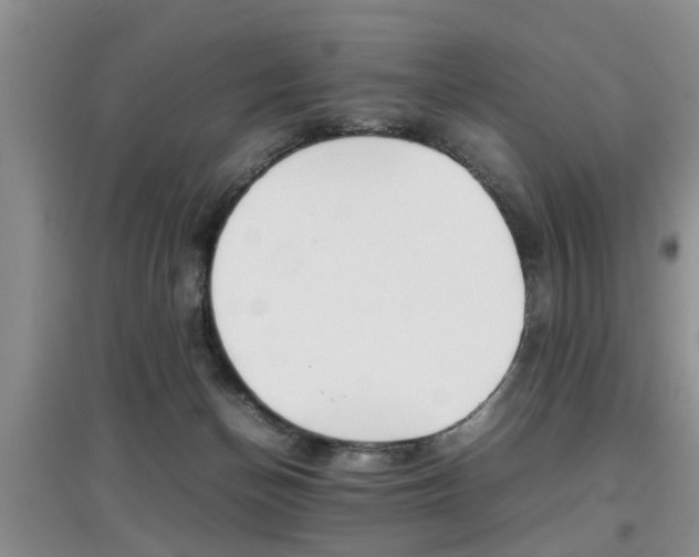 X0000097900174200803141015