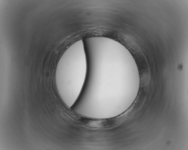X0000097900178200803141015