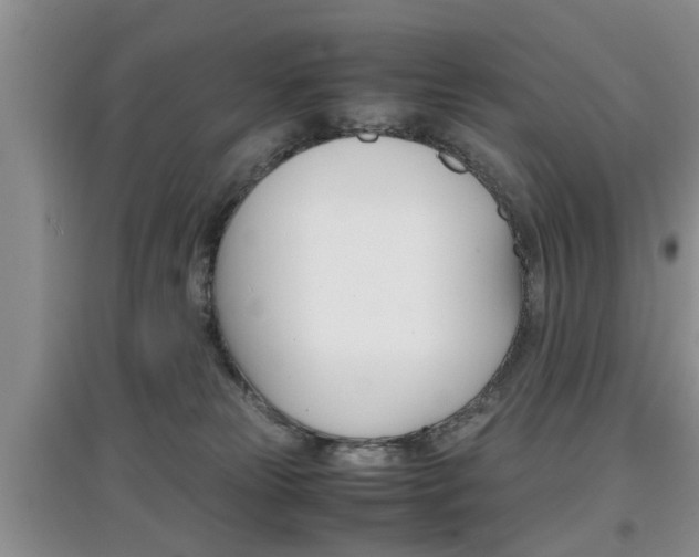 X0000097900181200803141015