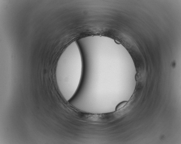 X0000097900182200803141015