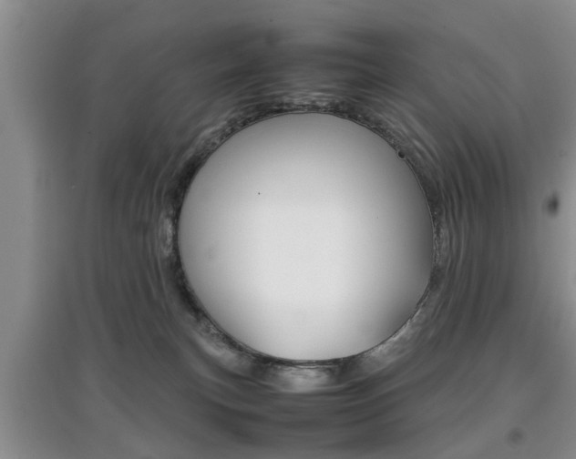 X0000097900183200803141015