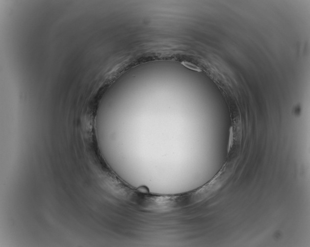 X0000097900184200803141015