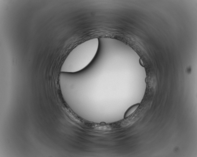 X0000097900185200803141015