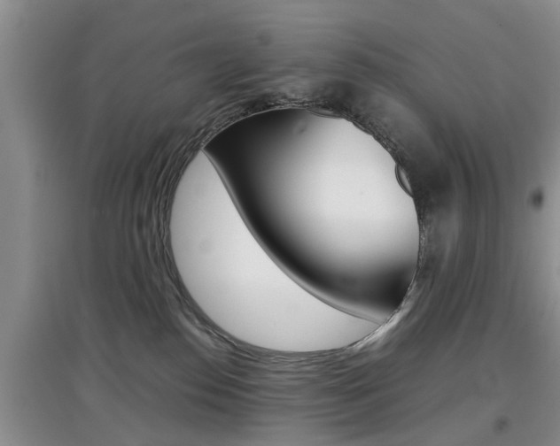 X0000097900186200803141015