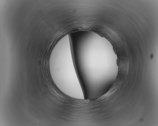 X0000097900188200803141015