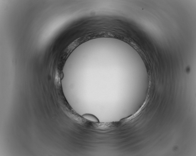 X0000097900191200803141015