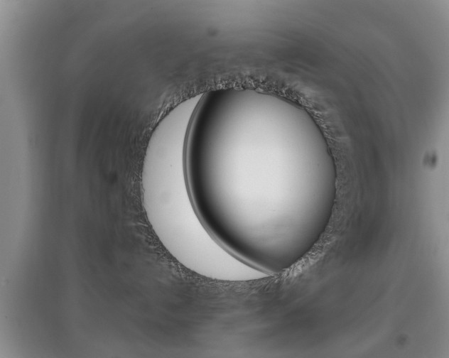 X0000097900192200803141015