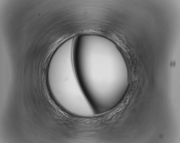 X0000097900193200803141014