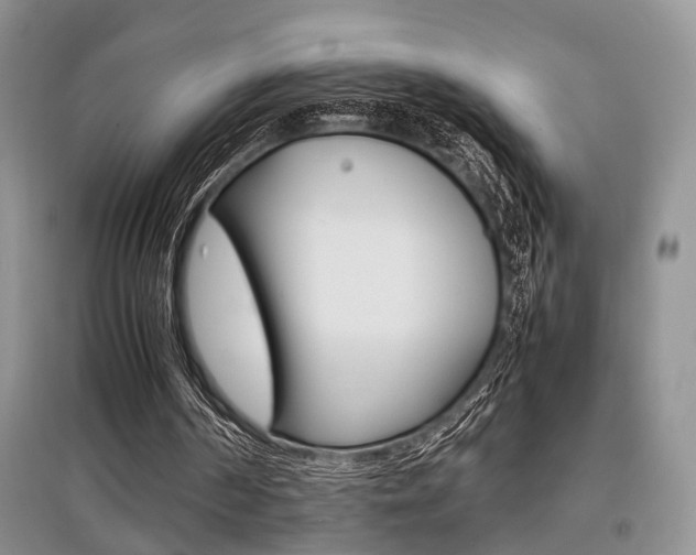 X0000097900194200803141014