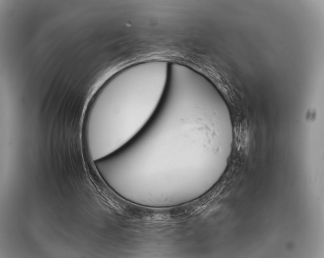 X0000097900196200803141014